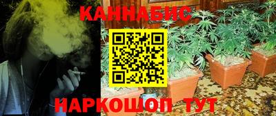 гидропоника Обнинск