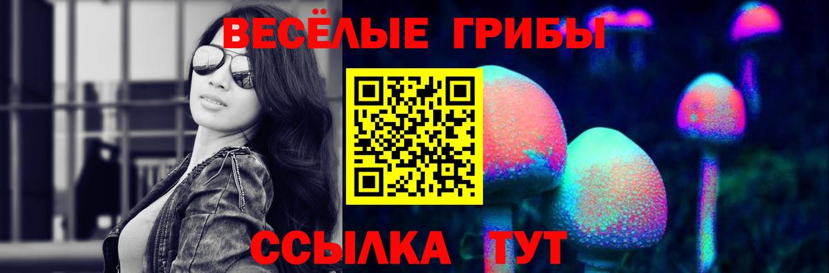 где купить наркоту  Галлюциногенные грибы Psilocybe  Вход с VPN  Саратов 